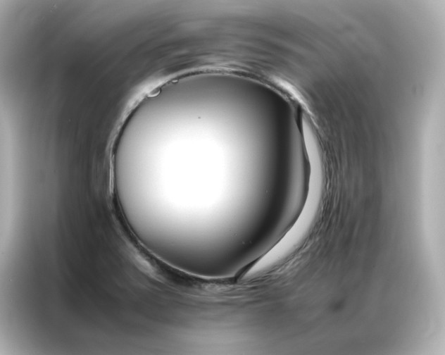 X0000086991371200704301329