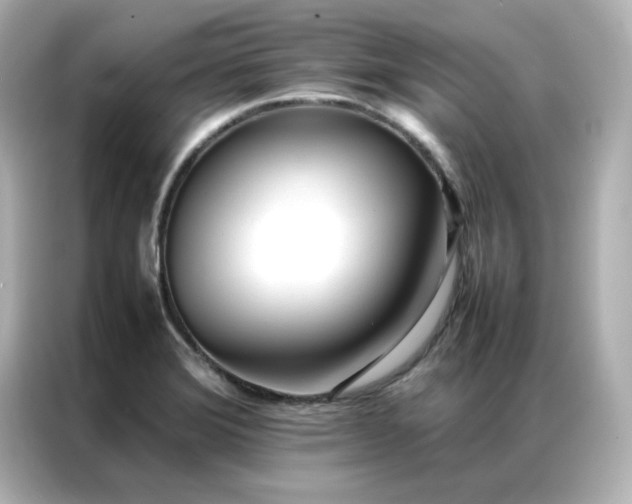 X0000086991372200704301329