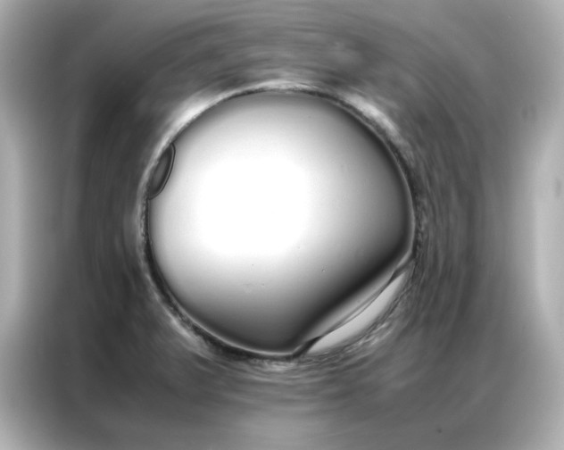 X0000086991375200704301329