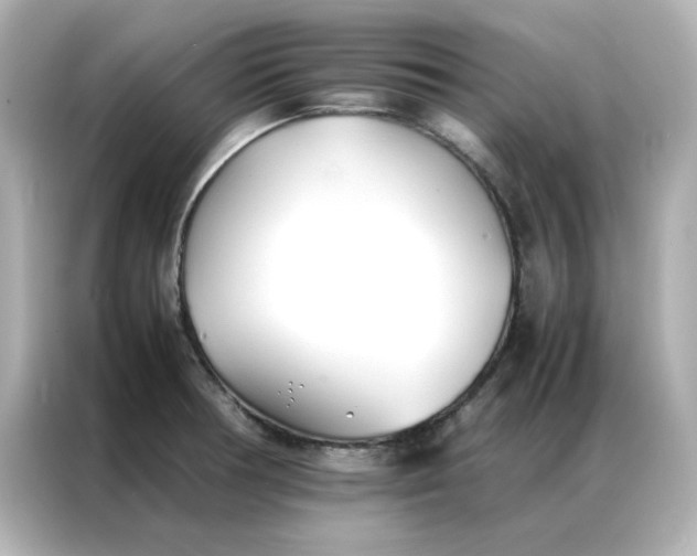 X0000086991378200704301329