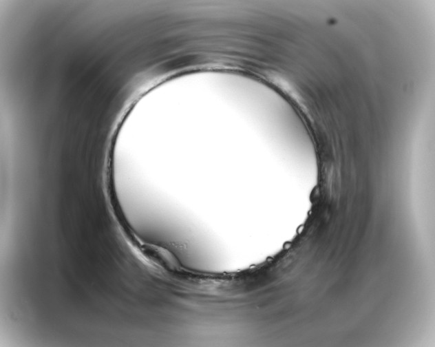 X0000086991379200704301329