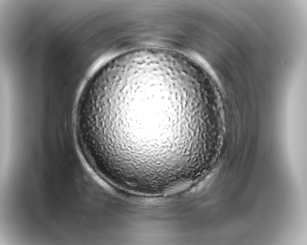 X0000086991381200704301329