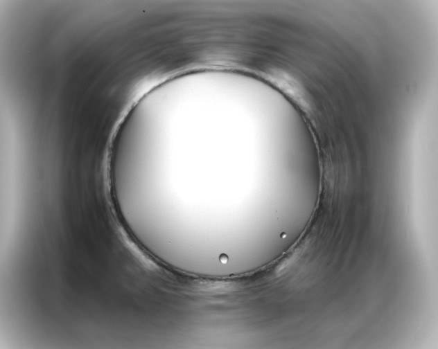 X0000086991382200704301329