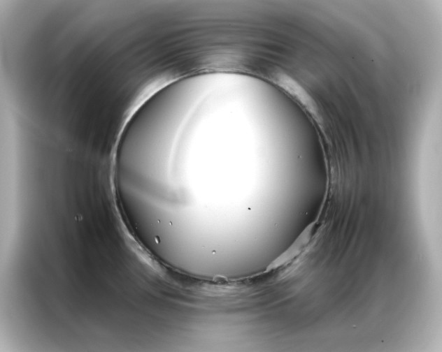 X0000086991386200704301329