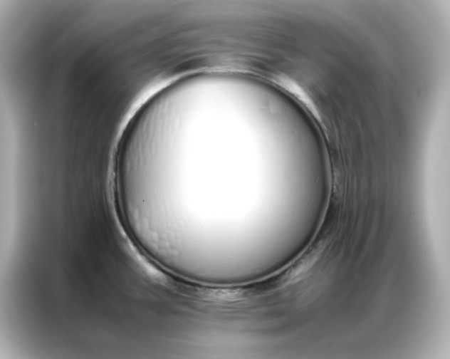 X0000086991387200704301329