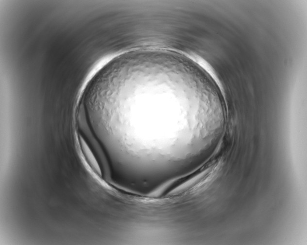 X0000086991389200704301329