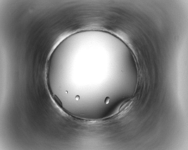 X0000086991390200704301329