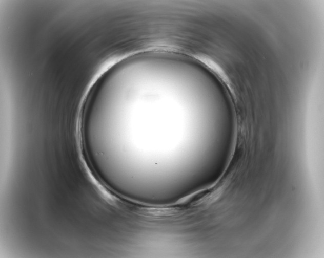 X0000086991391200704301329