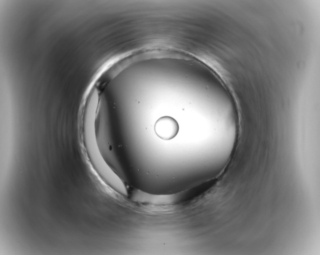 X0000086991392200704301329