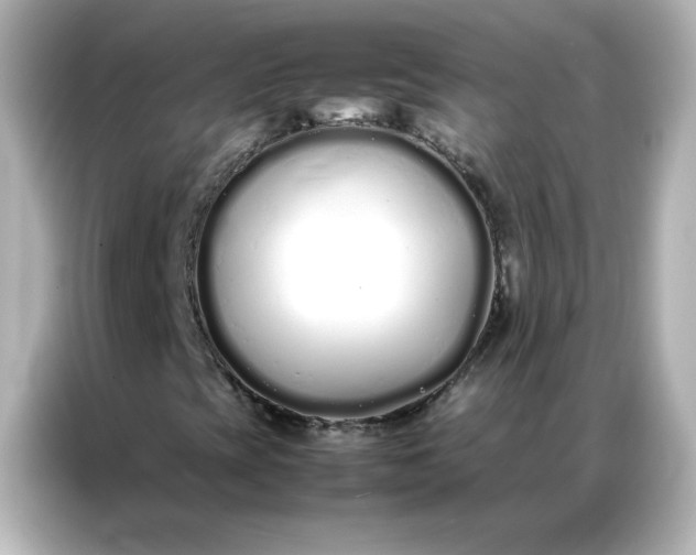 X0000086991393200704301328