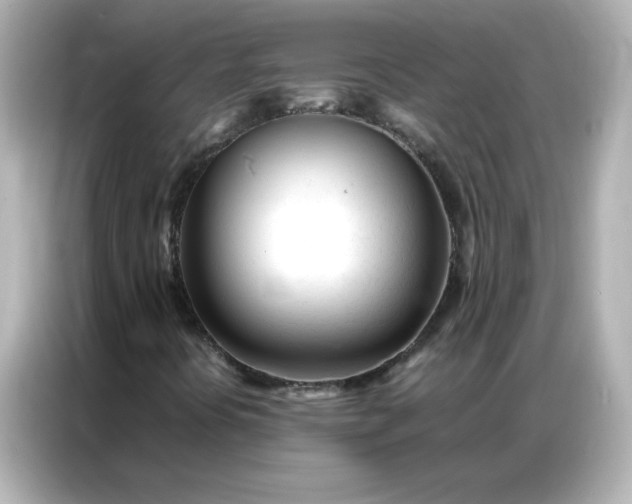 X0000086991394200704301328