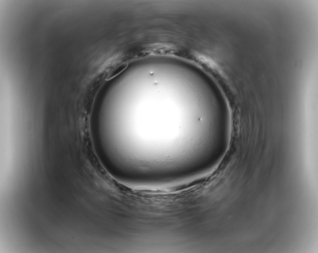 X0000086991399200704301328