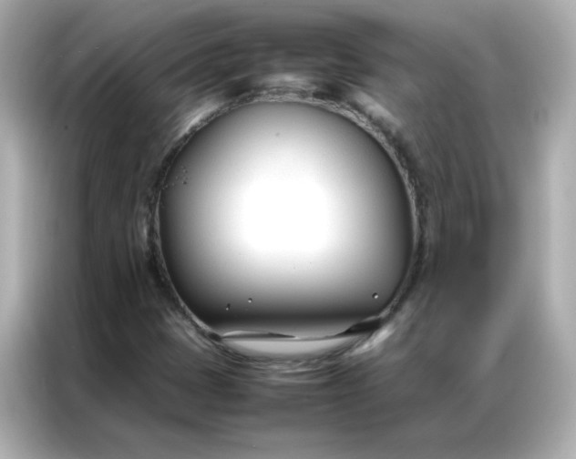 X0000086991401200704301328