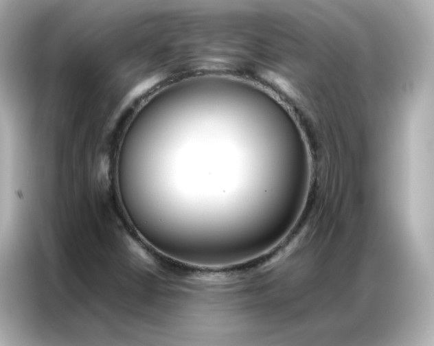 X0000086991402200704301328