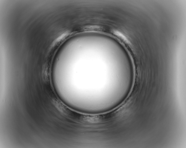 X0000086991403200704301328