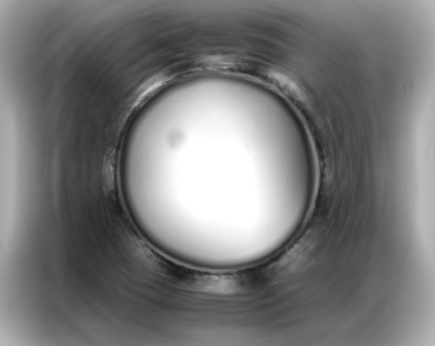 X0000086991409200704301328