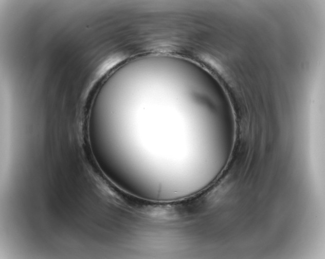 X0000086991410200704301328