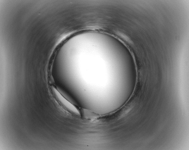 X0000086991412200704301328