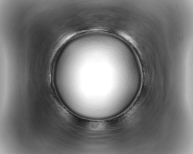 X0000086991415200704301328