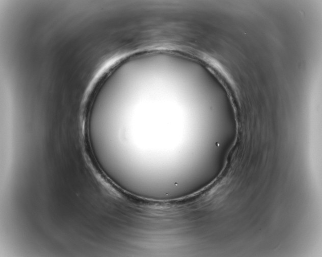 X0000086991416200704301328