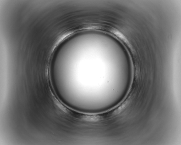 X0000086991417200704301328