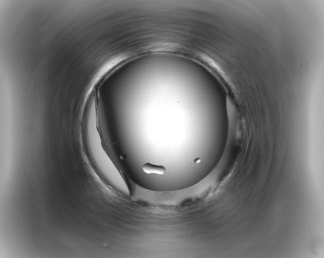 X0000086991418200704301328