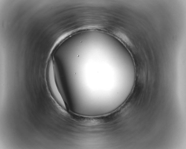 X0000086991420200704301328