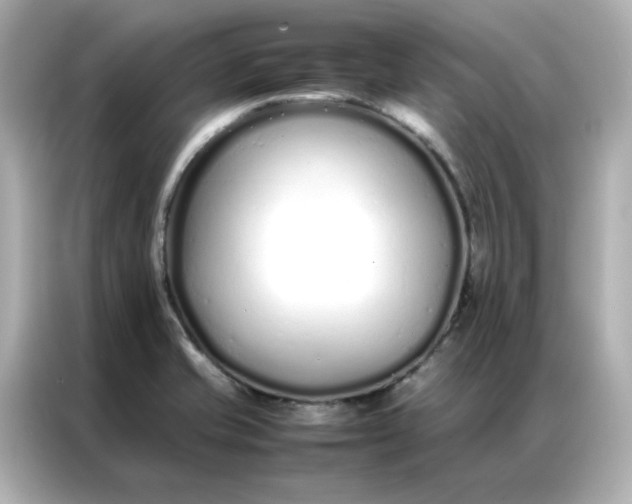 X0000086991421200704301328