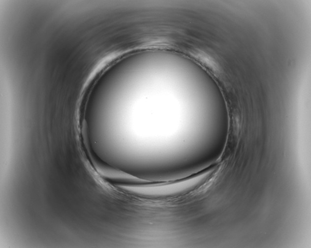 X0000086991422200704301328