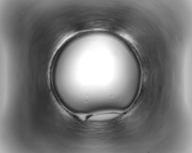 X0000086991423200704301328