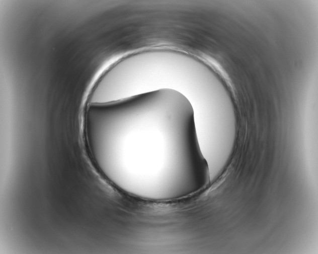 X0000086991424200704301328