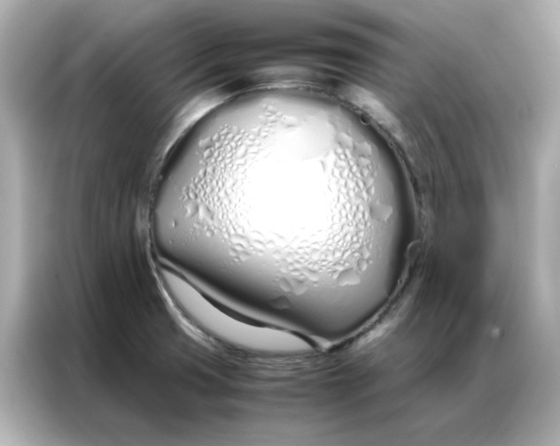 X0000086991425200704301328