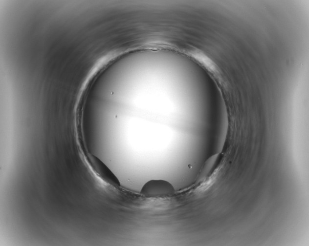 X0000086991430200704301329