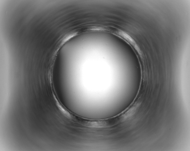 X0000086991433200704301329