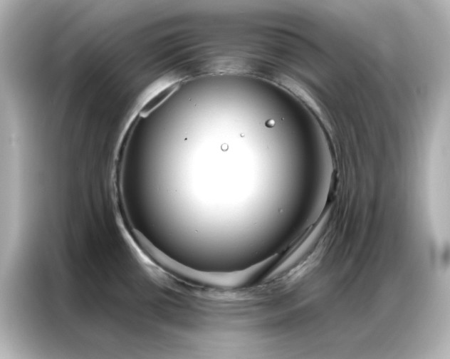 X0000086991434200704301329