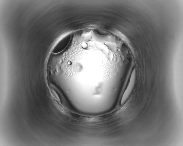 X0000086991435200704301329