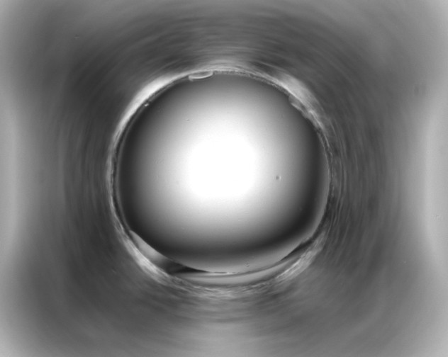 X0000086991438200704301329