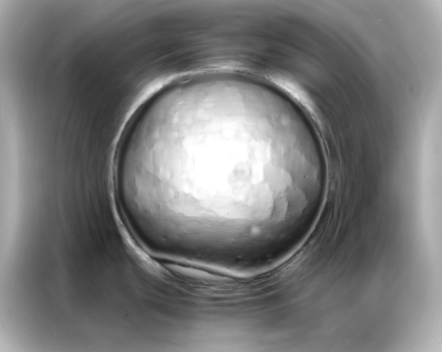 X0000086991439200704301329