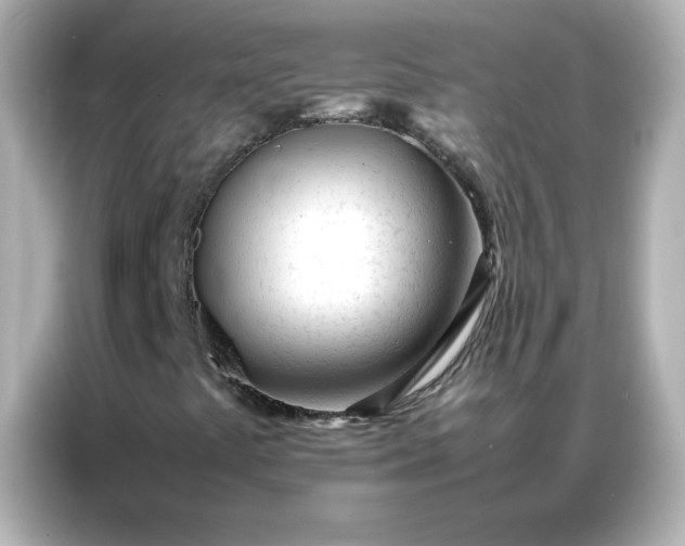 X0000086991441200704301328