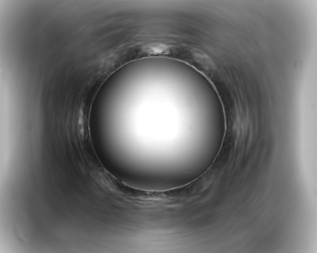 X0000086991442200704301328