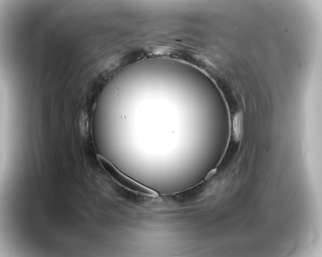 X0000086991443200704301328