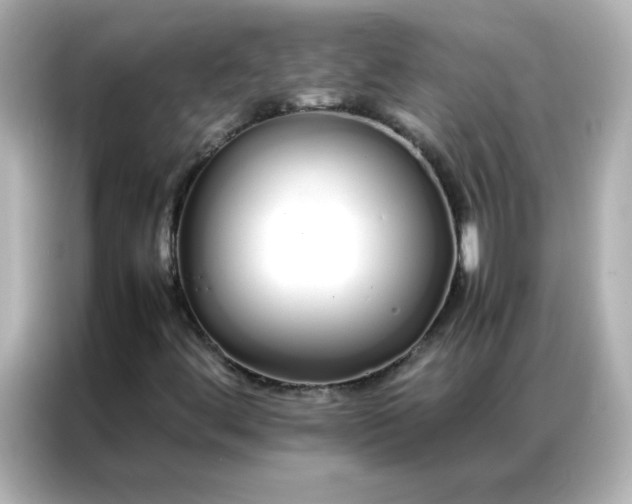 X0000086991444200704301328