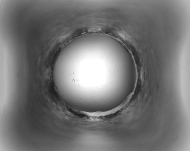 X0000086991445200704301328