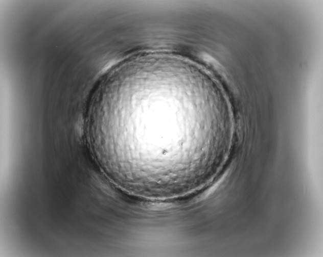 X0000086991449200704301328