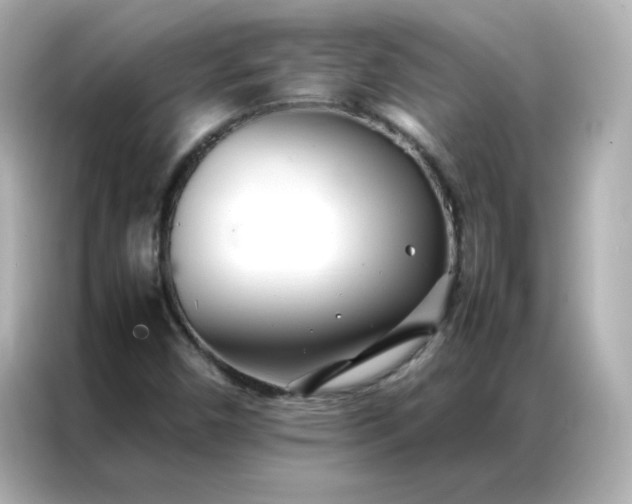 X0000086991450200704301328