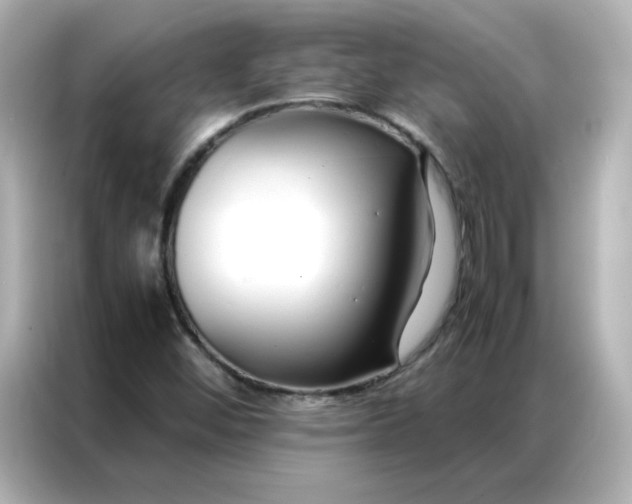 X0000086991452200704301328