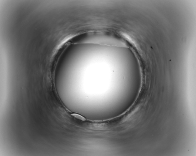 X0000086991453200704301328