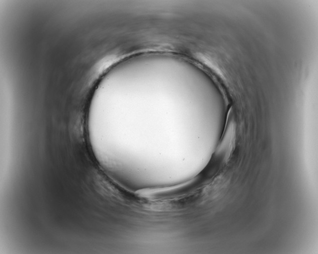 X0000086991455200704301328