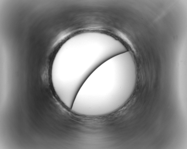 X0000086991456200704301328