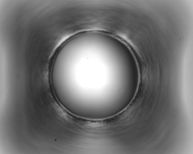 X0000086991460200704301328